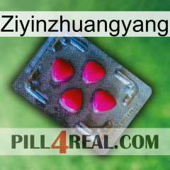 Ziyinzhuangyang 13